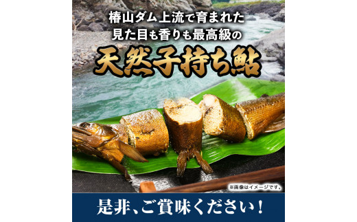 日高川椿山ダム上流 天然子持ち鮎 20cm以上 4尾×2パック 計8尾  川漁師なおべ《10月下旬-1月上旬頃出荷》 和歌山県 日高川町 あゆ 鮎 天然鮎 魚