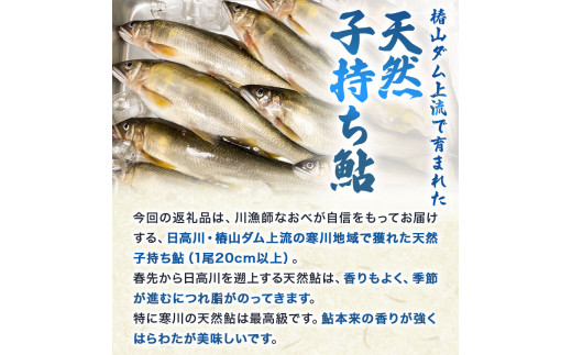 日高川椿山ダム上流 天然子持ち鮎 20cm以上 4尾×2パック 計8尾  川漁師なおべ《10月下旬-1月上旬頃出荷》 和歌山県 日高川町 あゆ 鮎 天然鮎 魚