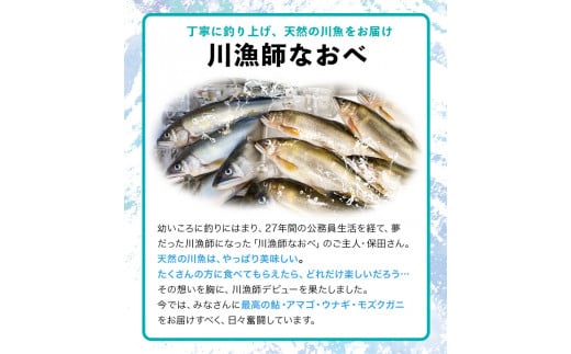 日高川椿山ダム上流 天然子持ち鮎 20cm以上 4尾×2パック 計8尾  川漁師なおべ《10月下旬-1月上旬頃出荷》 和歌山県 日高川町 あゆ 鮎 天然鮎 魚