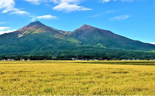 令和6年産 福島県産 あさか舞コシヒカリ 無洗米5kg【3ヶ月定期便】