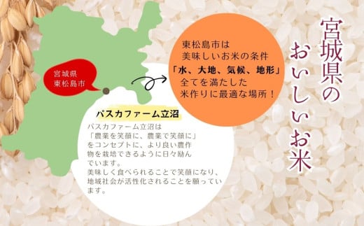 【令和6年産】 【新米】 ササニシキ（玄米）10kg 宮城県 東松島市 ささにしき 米 玄米 お米 おこめ オンラインワンストップ 自治体マイページ E