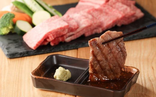 【年内順次発送】飛騨牛赤身焼肉セット 600g（もも焼肉 300g・かた焼肉 300g）焼肉 焼き肉用 飛騨牛 赤身 最高級 国産 牛肉 ブランド牛  和牛 焼き肉 ギフト 贈答 【冷凍】年内配送 年内発送 年内に届く 年内お届け