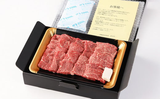 【年内順次発送】飛騨牛赤身焼肉セット 600g（もも焼肉 300g・かた焼肉 300g）焼肉 焼き肉用 飛騨牛 赤身 最高級 国産 牛肉 ブランド牛  和牛 焼き肉 ギフト 贈答 【冷凍】年内配送 年内発送 年内に届く 年内お届け