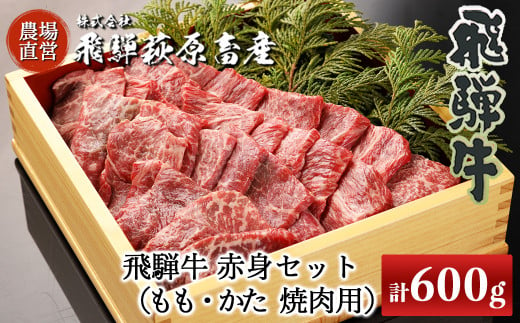 【年内順次発送】飛騨牛赤身焼肉セット 600g（もも焼肉 300g・かた焼肉 300g）焼肉 焼き肉用 飛騨牛 赤身 最高級 国産 牛肉 ブランド牛  和牛 焼き肉 ギフト 贈答 【冷凍】年内配送 年内発送 年内に届く 年内お届け