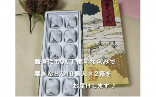 人気商品!! 中津川銘菓：栗きんとん20個（10個入×2箱）[秋季限定]【10月お届け】 F4N-1043