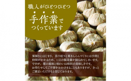 人気商品!! 中津川銘菓：栗きんとん20個（10個入×2箱）[秋季限定]【10月お届け】 F4N-1043