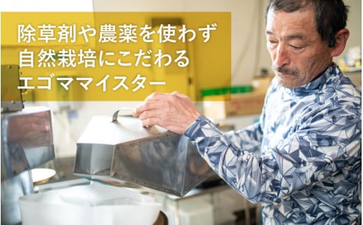 エゴマ油と実をまるごと味わうセット 国産 無農薬