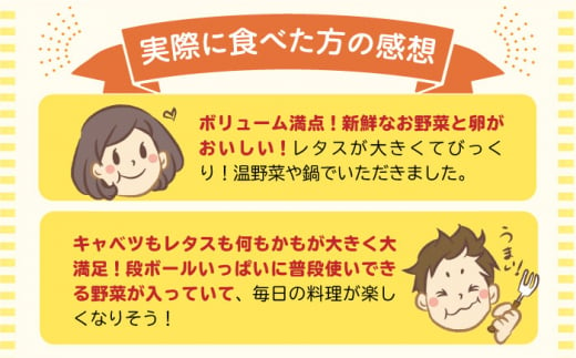 【隔月6回定期便】野菜・フルーツ・卵 旬のおまかせセット 長崎県/舞岳の里 [42ACAC006]