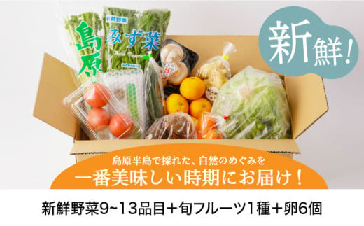 【隔月6回定期便】野菜・フルーツ・卵 旬のおまかせセット 長崎県/舞岳の里 [42ACAC006]