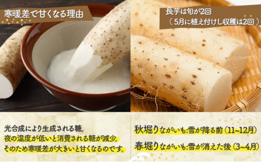 青森県産 冷凍長芋とろろパック 50g×15個【青森県産 とろろ 冷凍 長芋 山芋 青森 七戸町 送料無料 小分け プレーン 無添加 個梱包 とろろパック ご飯のお供】【02402-0321】