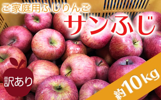 【2024年11月～12月発送分先行受付】ご家庭用訳ありリンゴ（サンふじ）約10kg_H085(R6)