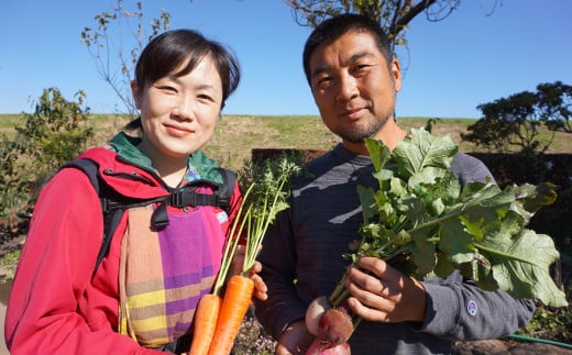 【 6ヶ月連続お届け 】 農園自慢の情熱野菜セット （ 7品 ）【 野菜 詰め合わせ お任せ 季節物 定期便 セット 山芋 パセリ わさび菜 ポップコーン かぶ 人参 里芋 たまねぎ 玉ねぎ ルッコラ ほうれん草 春菊 大根 芽キャベツ レタス じゃがいも さつまいも とうもろこし そら豆 枝豆 パクチー ビーツ ほうれん草 キャベツ ピーマン なすトマト かぼちゃ 】