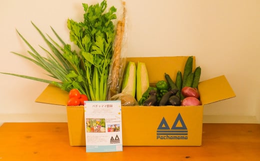 【 6ヶ月連続お届け 】 農園自慢の情熱野菜セット （ 7品 ）【 野菜 詰め合わせ お任せ 季節物 定期便 セット 山芋 パセリ わさび菜 ポップコーン かぶ 人参 里芋 たまねぎ 玉ねぎ ルッコラ ほうれん草 春菊 大根 芽キャベツ レタス じゃがいも さつまいも とうもろこし そら豆 枝豆 パクチー ビーツ ほうれん草 キャベツ ピーマン なすトマト かぼちゃ 】