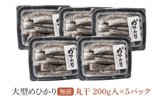 めひかり丸干5個セット【メヒカリ 海鮮 鮮魚 白身魚】(BH104)