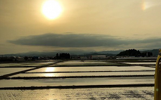 JA 雪若丸 10kg (5kg×2袋) 『JA山形おきたま』 米 精米 山形県 南陽市 [843]