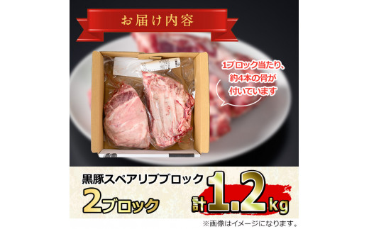 【0155112a】サクラ農場の鹿児島黒豚！スペアリブブロック(2ブロック・計約1.2kg) 国産 黒豚 豚肉 ぶた肉 短鼻豚 冷凍 冷凍配送【鹿児島ますや】