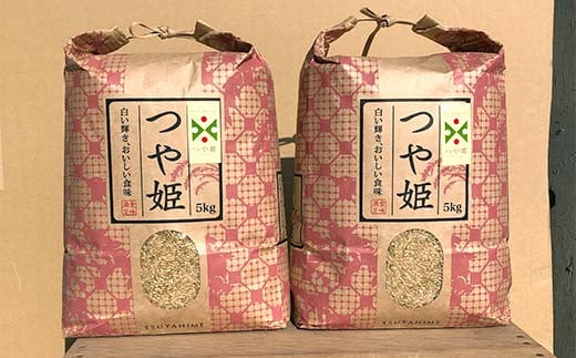  定期6回 令和5年産 【玄米】「つや姫マイスター」が作った「つや姫」（10kg）  つや姫おいしさの神コンクール優勝者！  F4B-0371