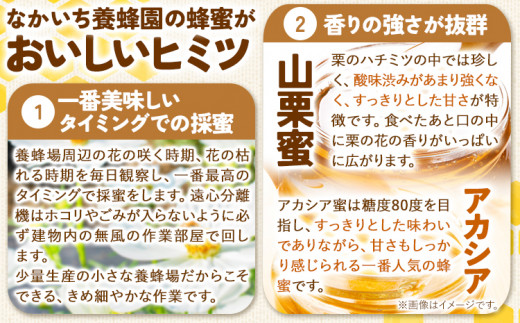 九戸の 山栗蜜 アカシア 天然はちみつ セット ミニ角瓶 185g×2本 計370g 中一養蜂園《30日以内に出荷予定(土日祝除く)》岩手県 九戸村 はちみつ 蜂蜜 ハチミツ アカシア 非加熱 無添加 送料無料 パンケーキ ヨーグルト フレンチトースト コーヒー 国産