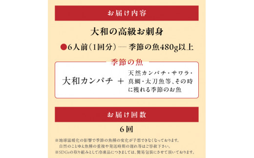 【6ヶ月定期便】大和の高級お刺身6人前 N072-YF057_1