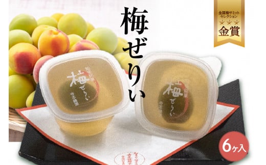 知多銘菓　梅ぜりぃ　6ヶ入 ／ 和風ゼリー うめ ウメ 土産 愛知県 特産品