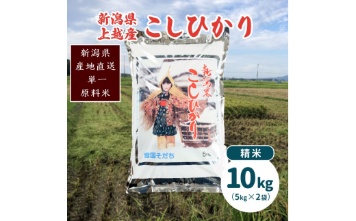 米 令和5年産・新潟県上越産／コシヒカリ 精米10kg（5kg×2）｜美味安全野菜栽培士が栽培したお米