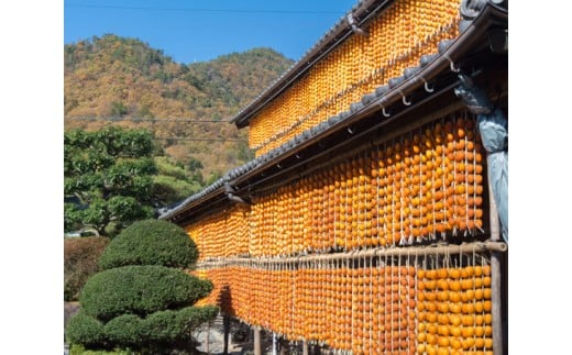 ［LL30］岐阜県の伝統野菜『伊自良大実柿』から作る干し柿『伊自良連柿』LLサイズ計30個 [No.045] ／ 干柿 手作り 果物 岐阜県 特産