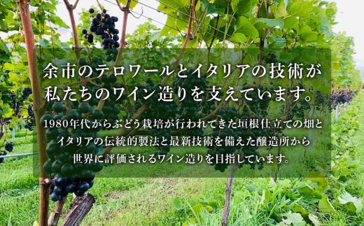 【数量限定】ヨイチヌーヴォーレジェント 2023 2本セット＜キャメルファーム＞　余市 北海道 ワイン 赤ワイン ヌーヴォー ヌーボ 国産 キャメル カルディ おすすめワイン 余市のワイン 北海道のワイン 日本のワイン