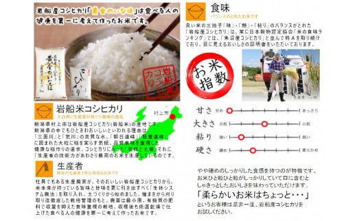 【新米受付・令和6年産米】NB4044 自然豊かな風土が育んだ新潟県岩船産コシヒカリ5kgと杵つき黄金もちセット