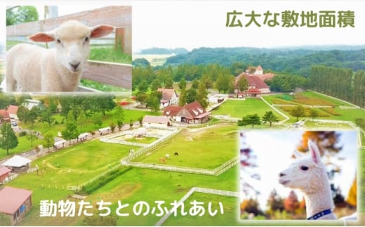 滋賀農業公園 ブルーメの丘 大人1名・子供1名・ワンちゃん1頭 入園券 [ アトラクション 動物 ふれあい ファミリー 家族 旅行 犬 ペット ]