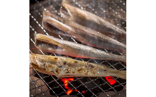 一夜干しこまい 2.8kg  (700g×4箱) 釧路高木商店 氷下魚 コマイ 干物 おつまみ 居酒屋 肴 魚介 魚 F4F-4647