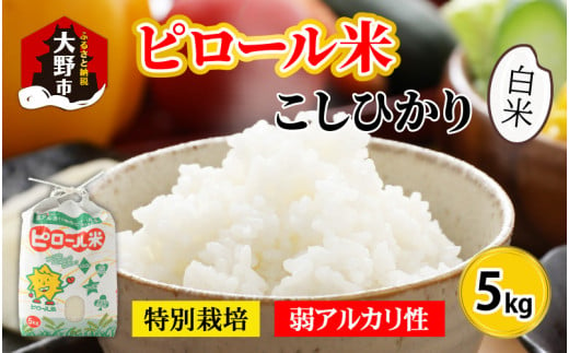 【令和6年産 新米】こだわりの米！弱アルカリ性のピロール米 こしひかり 白米 5kg [A-009001]