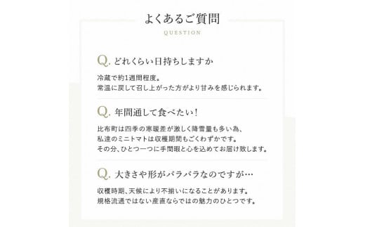 【2025年産予約開始！】金賞受賞！ 北海道フルーツミニトマト【ジェルバ】1.2kg