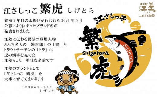 【数量限定】北海道産 サーモン切り身（塩）9切れ　小分けの食べ切りサイズ個包装　純国産ブランドサーモン『江さしっこ 繁虎』　「浜のかあさん」手作り　活締め加工　新鮮真空パック冷凍　保存料不使用　北海道江差産トラウトサーモン　塩鮭　焼き鮭