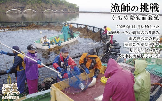 【数量限定】北海道産 サーモン切り身（塩）9切れ　小分けの食べ切りサイズ個包装　純国産ブランドサーモン『江さしっこ 繁虎』　「浜のかあさん」手作り　活締め加工　新鮮真空パック冷凍　保存料不使用　北海道江差産トラウトサーモン　塩鮭　焼き鮭