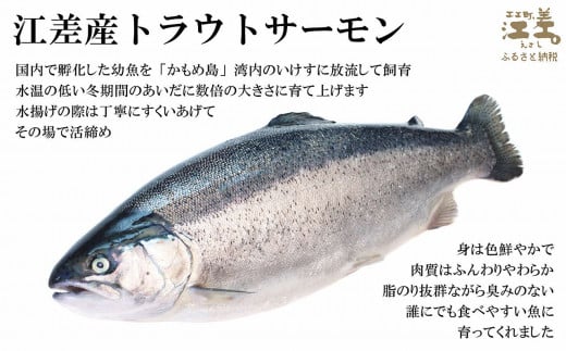 【数量限定】北海道産 サーモン切り身（塩）9切れ　小分けの食べ切りサイズ個包装　純国産ブランドサーモン『江さしっこ 繁虎』　「浜のかあさん」手作り　活締め加工　新鮮真空パック冷凍　保存料不使用　北海道江差産トラウトサーモン　塩鮭　焼き鮭