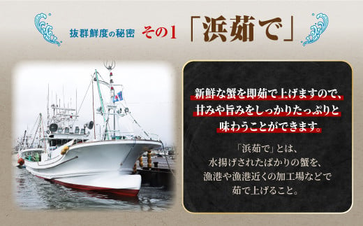 しらぬか産 茹でたて大サイズ毛がに 550g以上 毛ガニ 毛がに カニ かに 蟹 ふるさと納税 ふるさとチョイス 北海道 白糠町