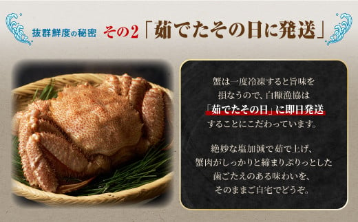 しらぬか産 茹でたて大サイズ毛がに 550g以上 毛ガニ 毛がに カニ かに 蟹 ふるさと納税 ふるさとチョイス 北海道 白糠町