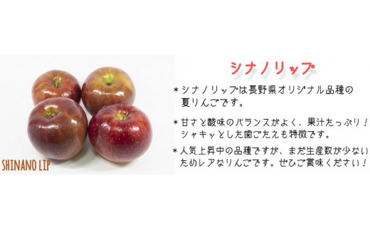 りんご 暑さに負けない シナノリップ 家庭用 5kg 大友農場 エコファーマー認定 沖縄県への配送不可 2024年8月中旬頃から2024年9月初旬頃まで順次発送予定 令和6年度収穫分 信州 果物 フルーツ リンゴ 林檎 長野 予約 農家直送 長野県 飯綱町 [1024]