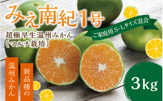 【先行予約】みえ南紀１号 ご家庭用 S-Lサイズ混合 たにぐち農園の超極早生温州みかん(マルチ栽培) 3kg【2024年9月上旬～9月25日までに順次発送】 / ご家庭用 家庭用 不揃い フルーツ 極早生 早生 温州 みかん 蜜柑 三重県 新品種 高品質 みえ