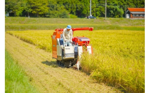 鹿野高原米コシヒカリ5kg　精米