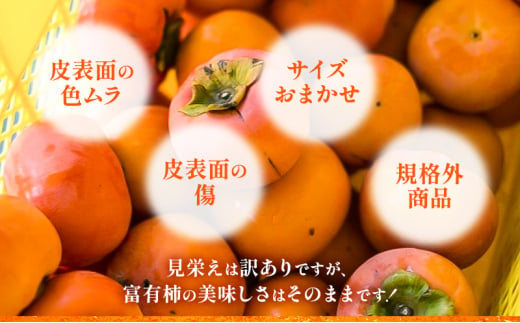 柿【訳アリ】ご家庭用 富有柿M～2Lサイズ 7kg サイズおまかせ かきフルーツ カキ 果物 くだもの 産地直送 岐阜県 瑞穂市 お取り寄せ [№5787-1072]