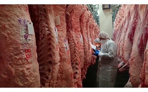 (全3回定期便)【訳あり】A5～4等級 博多和牛ヒレ焼肉 600g