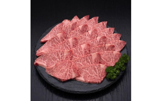 (全3回定期便)【訳あり】A5～4等級 博多和牛ヒレ焼肉 600g