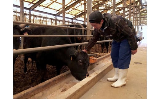 (全3回定期便)【訳あり】A5～4等級 博多和牛ヒレ焼肉 600g