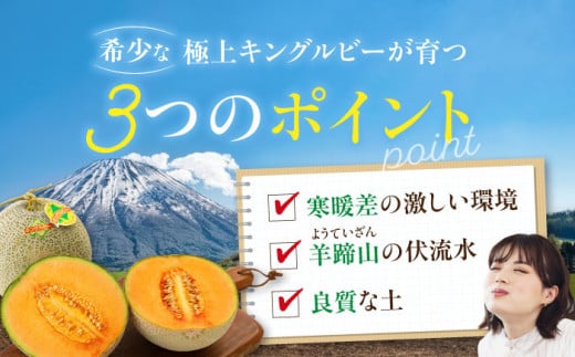 北海道 メロン 数量限定 化粧箱入り 贈答用 先行予約 フルーツ 果物