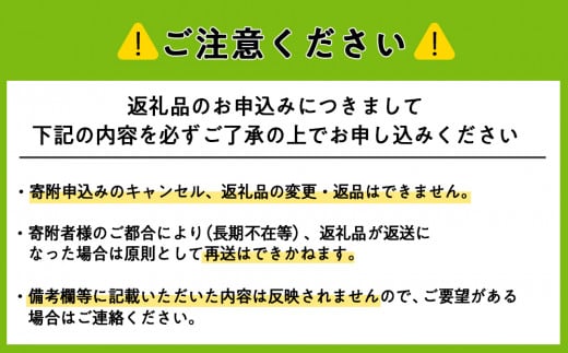 2025年発送☆【夏イチゴ】奇跡のひと粒「夏瑞」2パックセット