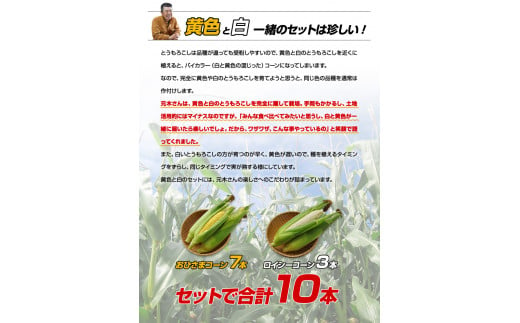 とうもろこし2種セット  合計10本（おひさまコーン７本、ロイシーコーン３本） 元木農場 北海道浦幌町産 生でも食べられる糖度20度以上 朝もぎたてとうもろこし 旬の時期にお届け 朝採り【8月下旬-9月中旬より順次出荷】