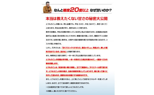 とうもろこし2種セット  合計10本（おひさまコーン７本、ロイシーコーン３本） 元木農場 北海道浦幌町産 生でも食べられる糖度20度以上 朝もぎたてとうもろこし 旬の時期にお届け 朝採り【8月下旬-9月中旬より順次出荷】