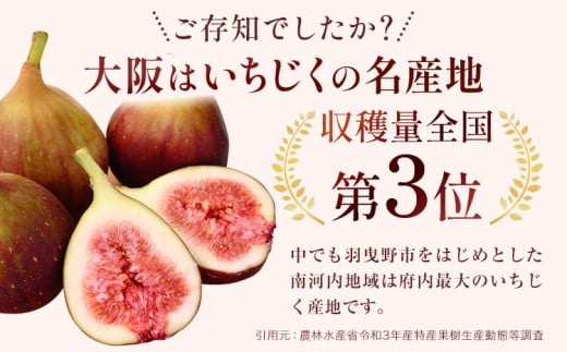 いちじくワイン 720ml 1本 (株)飛鳥ワイン《30日以内に出荷予定(土日祝除く)》大阪府 羽曳野市 アルコール ワイン 酒 いちじく 果物 フルーツ 甘口 飲み比べワイン 飲み比べセット ワインセット フルーツワイン イチジクワイン 産地直送 送料無料