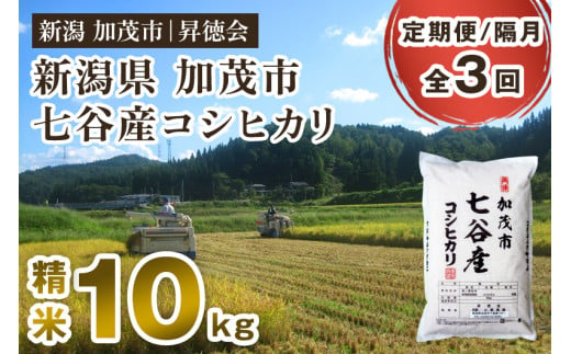 【令和6年産新米先行予約】【定期便3回隔月お届け】新潟県加茂市 七谷産コシヒカリ 精米10kg（5kg×2） 白米 高柳地域産数量限定 昇徳会 定期便